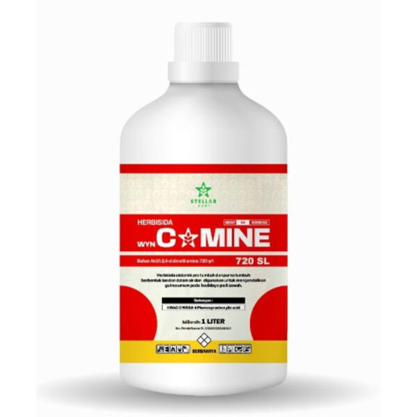 wynCAMINE